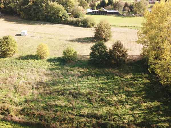 Heistse Bossen - Heist-op-den-Berg